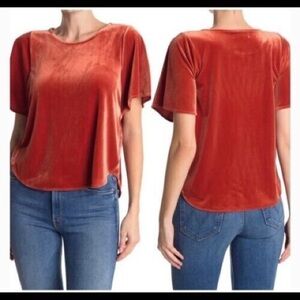 Madewell Butterfly Velvet Top